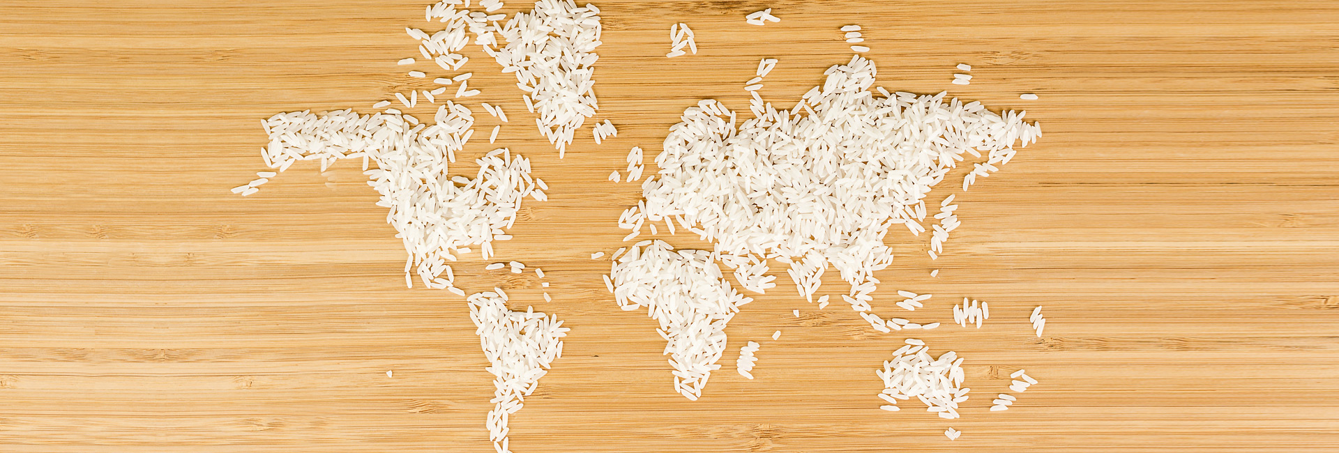 What Does The World Eat?