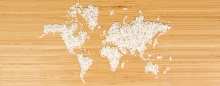 What Does The World Eat?