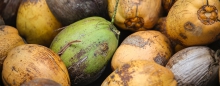 Reducing Food Spoilage. Photo by Max Lakutin on Unsplash