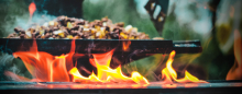 Food Trends