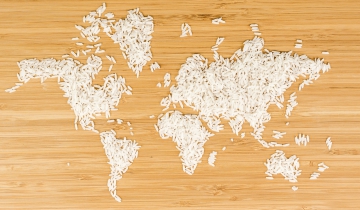 What Does The World Eat?