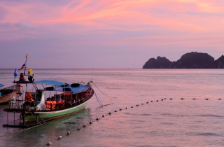 All You Need To Know About Ocean Acidification